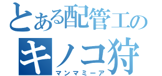 とある配管工のキノコ狩り（マンマミーア）