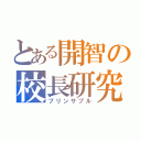 とある開智の校長研究（プリンサプル）