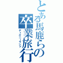 とある馬鹿らの卒業旅行（ディズニーランド）