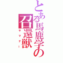 とある馬鹿学の召還獣（サマナー）