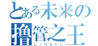 とある未来の撸管之王（ＬＩＮＡＫＵ）