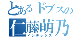 とあるドブスの仁藤萌乃（インデックス）