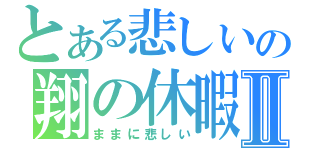 とある悲しいの翔の休暇Ⅱ（ままに悲しい）