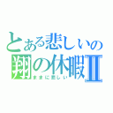 とある悲しいの翔の休暇Ⅱ（ままに悲しい）