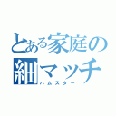 とある家庭の細マッチョ（ハムスター）