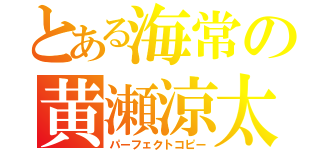 とある海常の黄瀬涼太（パーフェクトコピー）