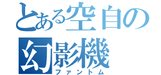 とある空自の幻影機（ファントム）