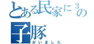 とある民家に３匹の子豚（がいました）