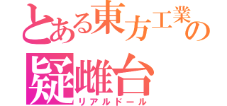 とある東方工業の疑雌台（リアルドール）