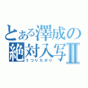 とある澤成の絶対入写Ⅱ（うつりたがり）