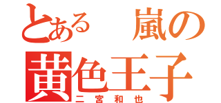 とある　嵐の黄色王子（二宮和也）