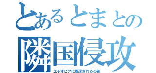 とあるとまとの隣国侵攻（エチオピアに撃退されるの巻）