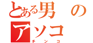 とある男のアソコ（チンコ）