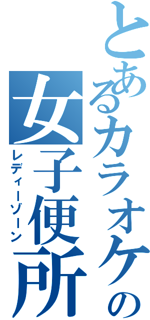 とあるカラオケの女子便所（レディーゾーン）