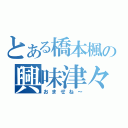 とある橋本楓の興味津々（おませね～）