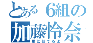 とある６組の加藤怜奈（馬に似てるよ）