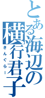 とある海辺の横行君子（きんぐらー）