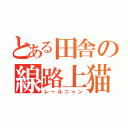 とある田舎の線路上猫（レールニャン）