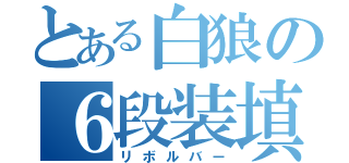 とある白狼の６段装填（リボルバー）