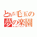 とある毛玉の夢の楽園（ティポニーランド）