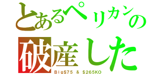 とあるペリカンの破産した（Ｂｉｇ＄７５ ＆ ＄２６５ＫＯ）