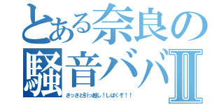 とある奈良の騒音ババアⅡ（さっさと引っ越し！しばくぞ！！）