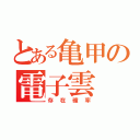 とある亀甲の電子雲（存在確率）