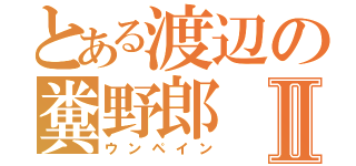 とある渡辺の糞野郎Ⅱ（ウンペイン）