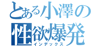 とある小澤の性欲爆発タイム（インデックス）