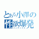 とある小澤の性欲爆発タイム（インデックス）