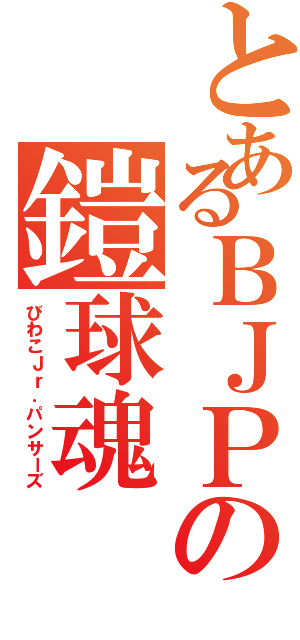 とあるＢＪＰの鎧球魂（びわこＪｒ．パンサーズ）