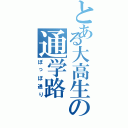 とある大高生の通学路（ぽっぽ通り）