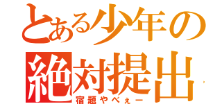 とある少年の絶対提出資料（宿題やべぇー）