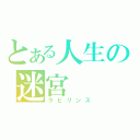 とある人生の迷宮（ラビリンス）