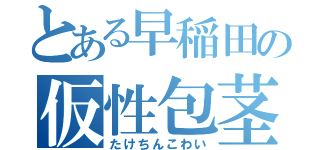 とある早稲田の仮性包茎（たけちんこわい）