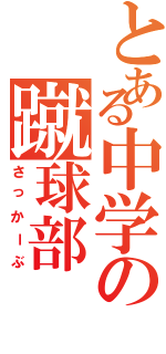 とある中学の蹴球部（さっかーぶ）