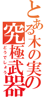 とある木の実の究極武器（どうでしょう）