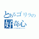 とあるゴリラの好奇心（バナナ以外も食べようかな）