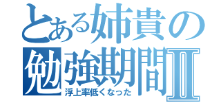 とある姉貴の勉強期間Ⅱ（浮上率低くなった）