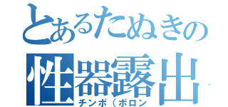 とあるたぬきの性器露出（チンポ（ボロン）