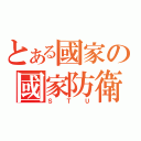 とある國家の國家防衛部（ＳＴＵ）