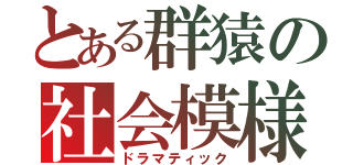 とある群猿の社会模様（ドラマティック）