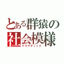 とある群猿の社会模様（ドラマティック）