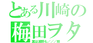 とある川崎の梅田ヲタ（実は浦野も／／／照）