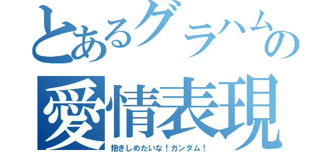 とあるグラハムの愛情表現（抱きしめたいな！ガンダム！）