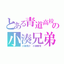 とある青道高校の小湊兄弟（小湊亮介 小湊春市）