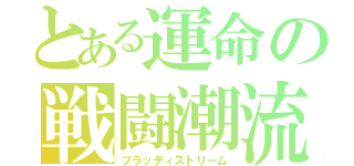 とある運命の戦闘潮流（ブラッディストリーム）