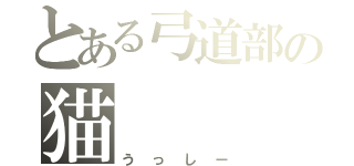 とある弓道部の猫（うっしー）