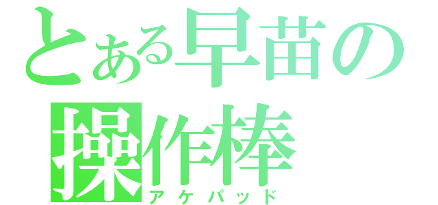 とある早苗の操作棒（アケパッド）