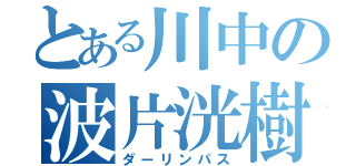 とある川中の波片洸樹（ダーリンパス）